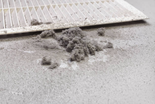 Best Affordable HVAC Duct Cleaning  in Goshen, AR