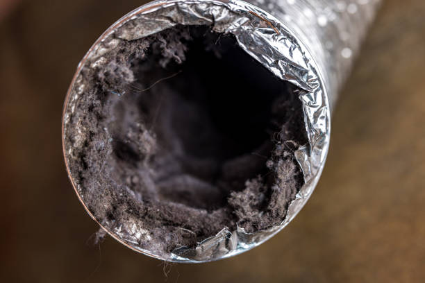 Best Local Air Duct Cleaning Services  in Goshen, AR